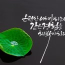 행복법무사 이미지