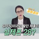 안언니
