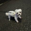 구르미살롱 이미지