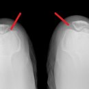 한창한방병원 이미지