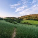 태화 목장 이미지