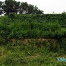 교산동 건물지 이미지