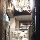 겨울이 머무는 집 이미지