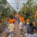 대방농장 이미지