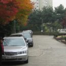 루터대학교 이미지