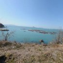 생일면-1 이미지