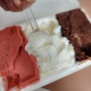 포장이 깔끔하고 맛있었던 젤라또 맛집 프롬투크림 방문후기