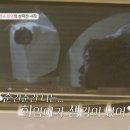 지안상회 이미지