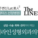 더라인 이미지