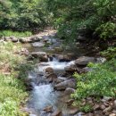 한방생태숲 이미지