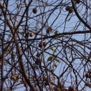 옹달샘 농장 이미지