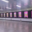 릴리성형외과의원 이미지