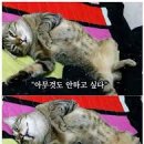 우림미디어 이미지