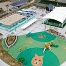 펫 월드 이미지