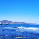 웨스트.본1093