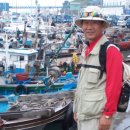 사천항포구 이미지