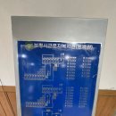 용두해수욕장숲속야영장 | 보령 용두해수욕장 숲속 야영장 야유회