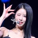 탑디스코라이브