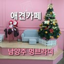 멍브라더 애견카페 이미지