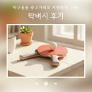 수성탁구 | 탁벼시 탁구용품 탁구화 탁구라켓 중고거래 후기