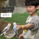 WR(인천광역시 남동구)-20[서창남순환로]-하-1 | 아이랑 실내 동물원 모든 동물을 다 만져보고 먹이줄수 있는 실내 체험관 쥬벅스 솔직후기
