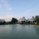 수영환경공원 농구장