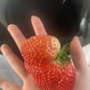 안천농장 이미지