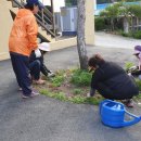 두밀리 마을회관 이미지