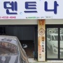 덴트나라 - 창원시 마산회원구 양덕로 17 | 덴트나라