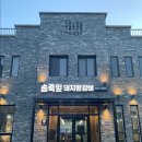 송죽잎 이미지