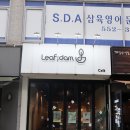 잎담