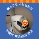 나모가