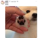 (주)미디어로그 이미지