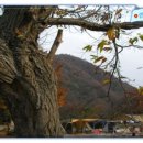 에브라임캠핑장 이미지