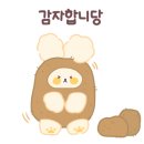 아루멍 그루밍 이미지