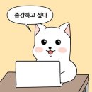 대학로 PC방 | 신록의 계절