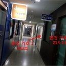 강남-213 이미지