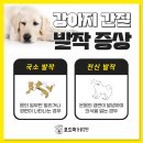 석적동물병원