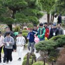 강남 - 제주시 서광로 292-1 | 강남
