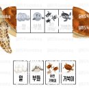 거북이 티스토리