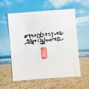 오늘도소담 이미지