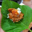 시골배기옛날돼지찌개 이미지