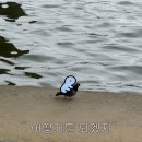 디자인블루 이미지