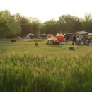 숲속노을로(2) 이미지