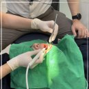 좋은약속치과의원 이미지