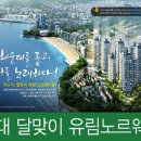 노르웨이숲 이미지