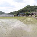 하화마을회관 이미지