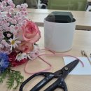 꽃꽂이 교실1 이미지