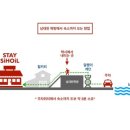 스테이시호일 이미지