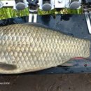 이현소류지 이미지